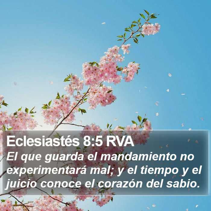 Eclesiastés 8:5 RVA Bible Study