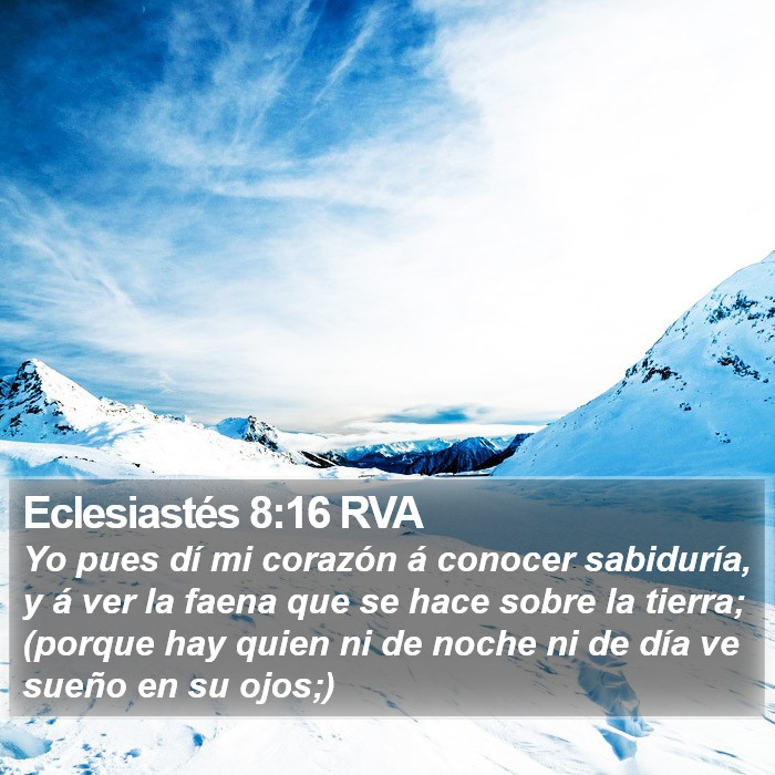 Eclesiastés 8:16 RVA Bible Study