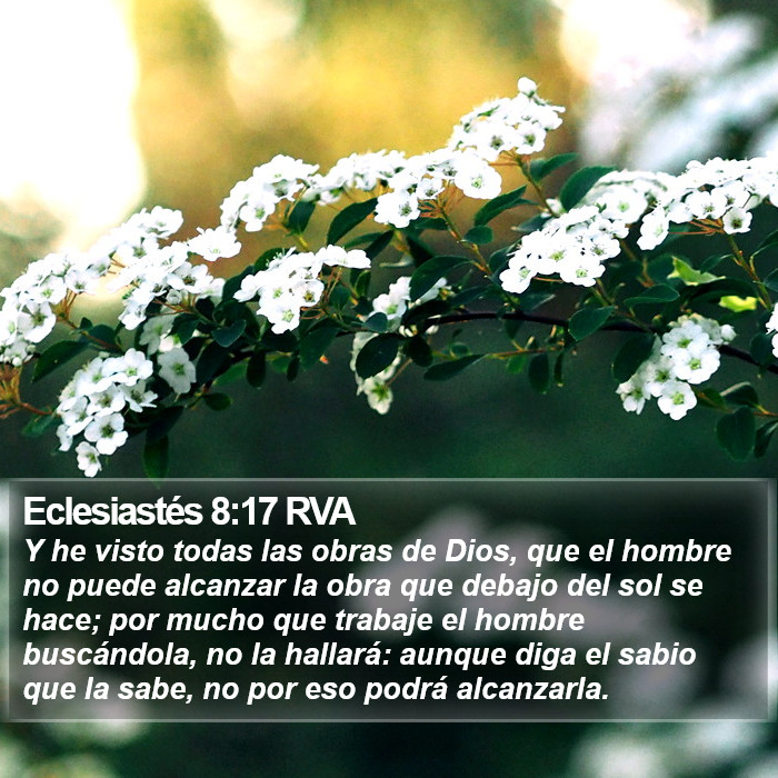 Eclesiastés 8:17 RVA Bible Study