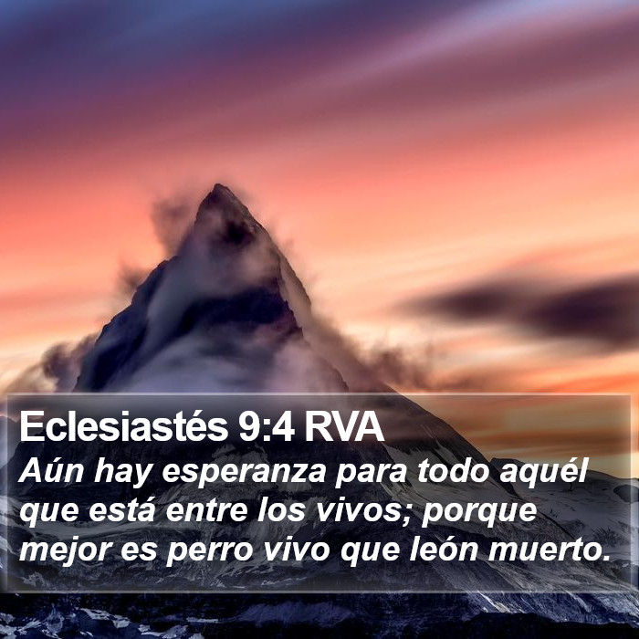 Eclesiastés 9:4 RVA Bible Study