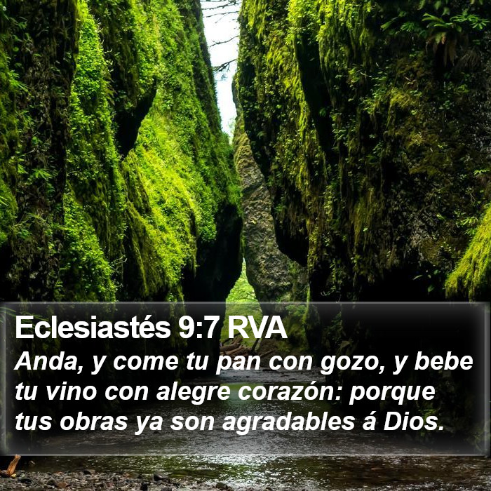 Eclesiastés 9:7 RVA Bible Study