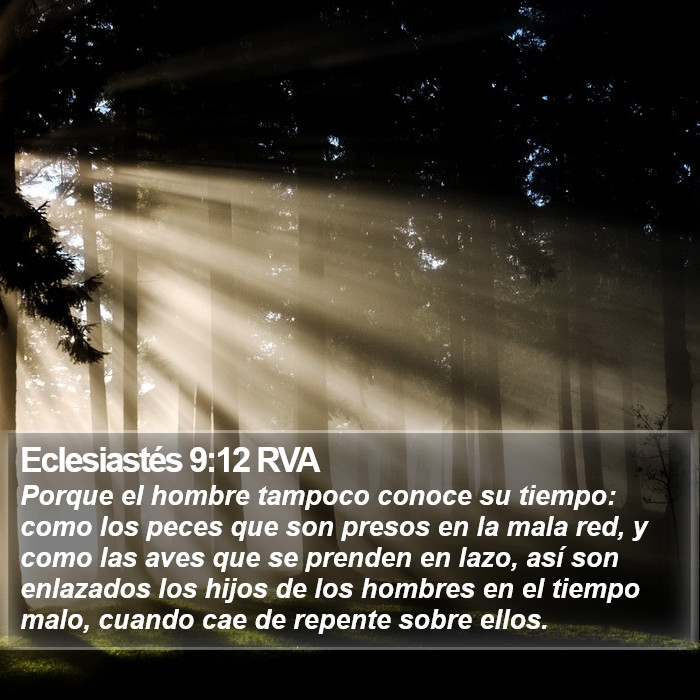 Eclesiastés 9:12 RVA Bible Study