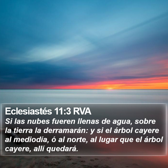 Eclesiastés 11:3 RVA Bible Study