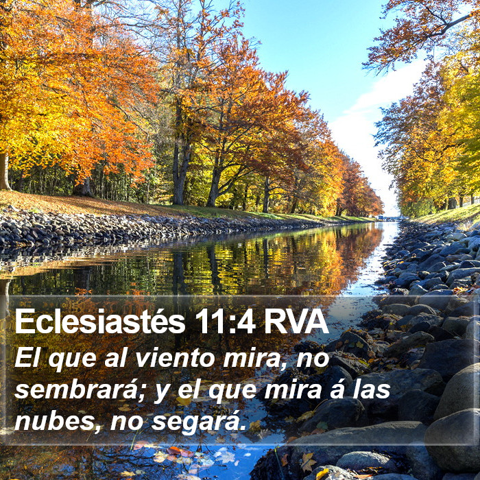 Eclesiastés 11:4 RVA Bible Study