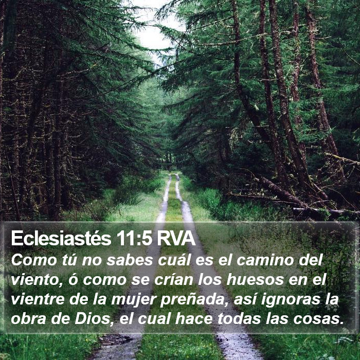 Eclesiastés 11:5 RVA Bible Study