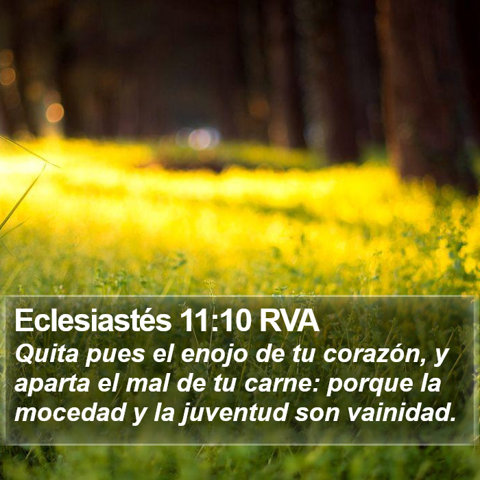 Eclesiastés 11:10 RVA Bible Study