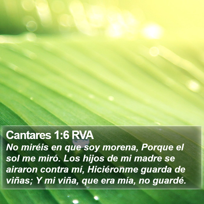 Cantares 1:6 RVA Bible Study