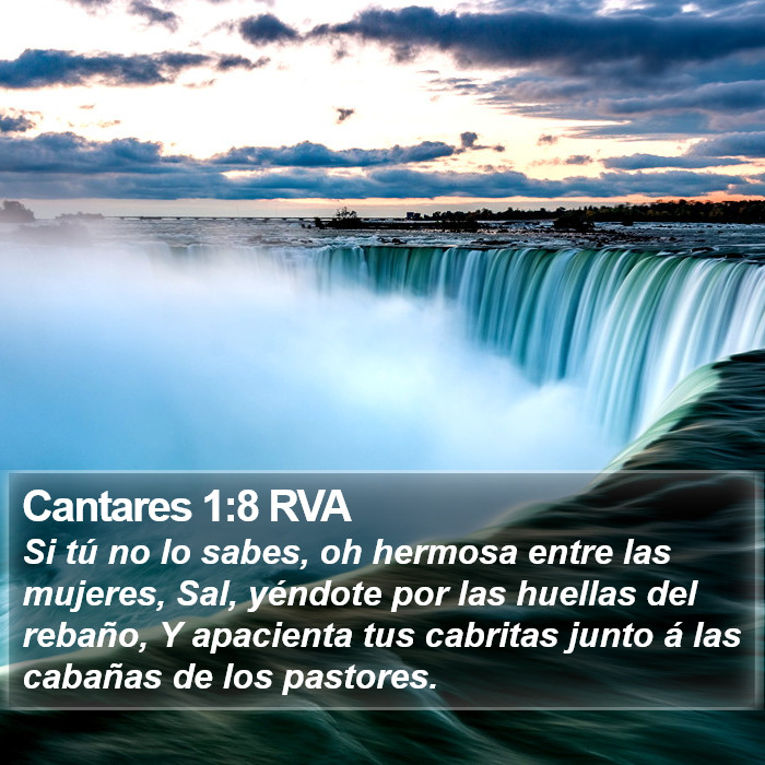 Cantares 1:8 RVA Bible Study