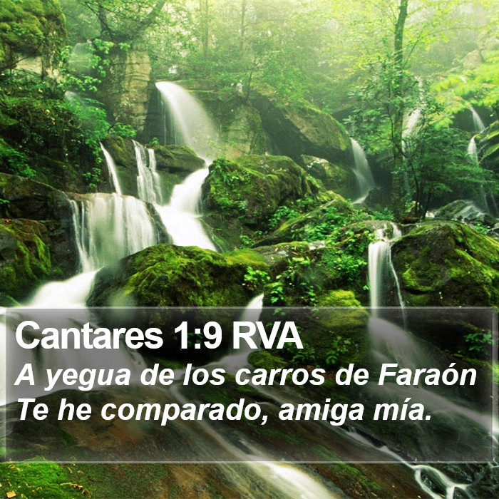 Cantares 1:9 RVA Bible Study