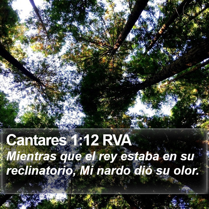 Cantares 1:12 RVA Bible Study