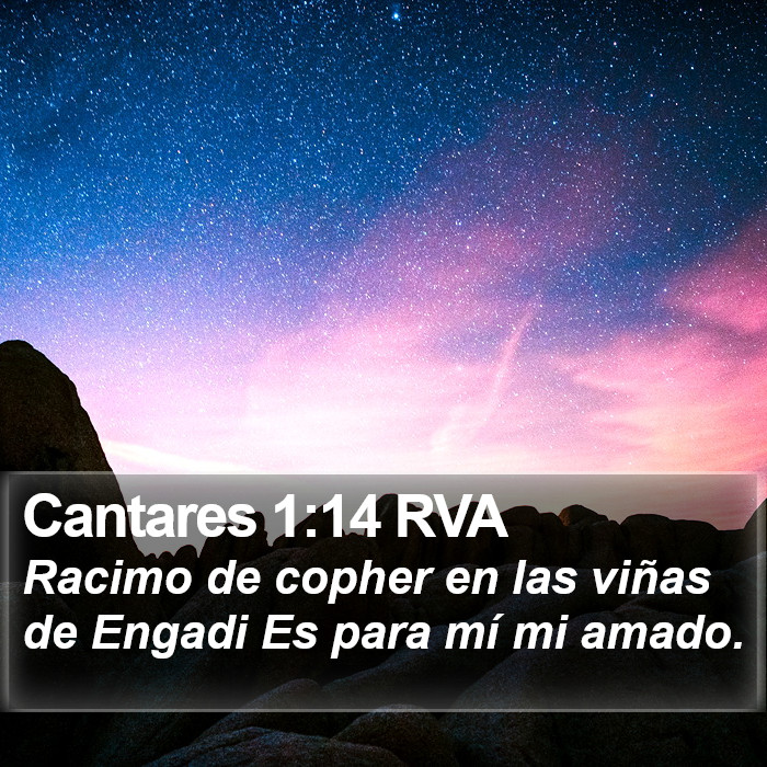 Cantares 1:14 RVA Bible Study