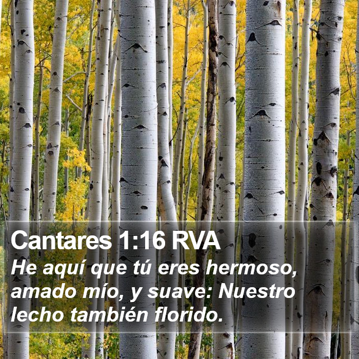 Cantares 1:16 RVA Bible Study