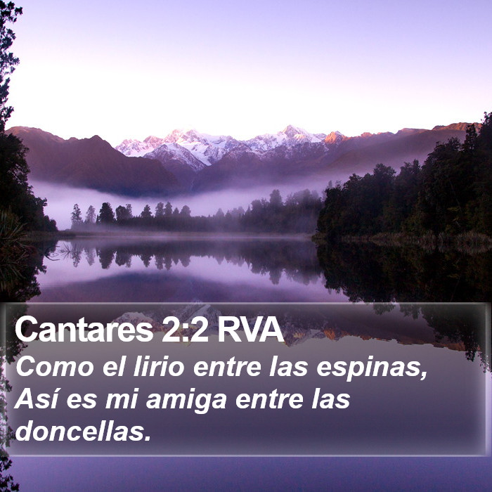Cantares 2:2 RVA Bible Study