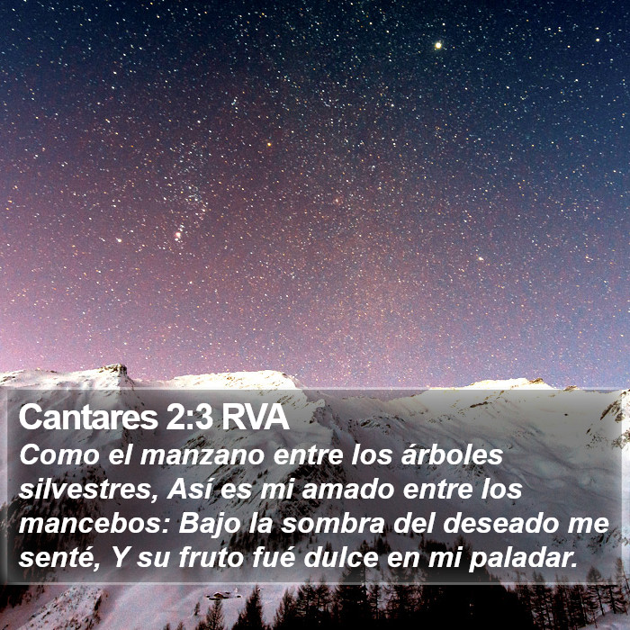 Cantares 2:3 RVA Bible Study