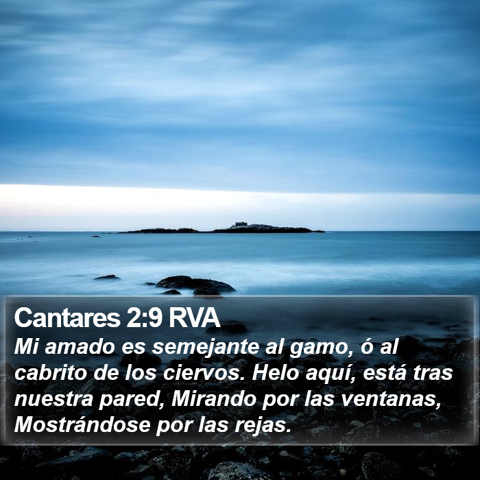 Cantares 2:9 RVA Bible Study