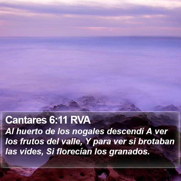 Cantares 6:11 RVA Bible Study