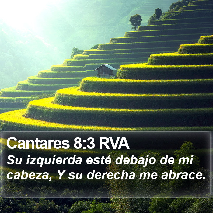 Cantares 8:3 RVA Bible Study