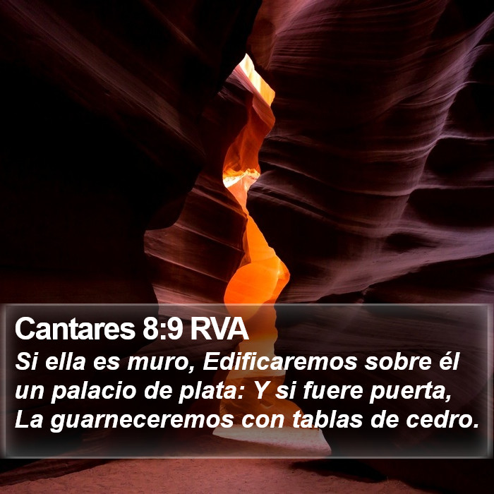 Cantares 8:9 RVA Bible Study