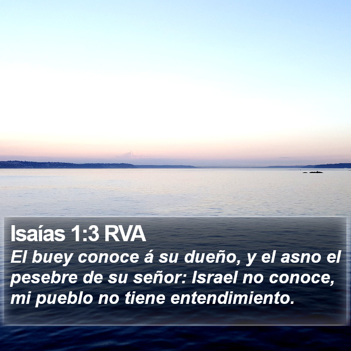 Isaías 1:3 RVA Bible Study