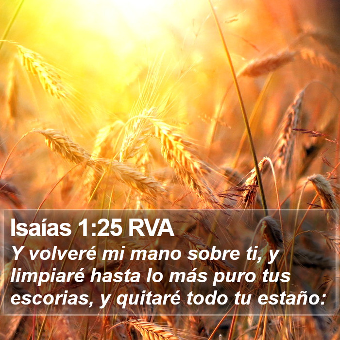 Isaías 1:25 RVA Bible Study