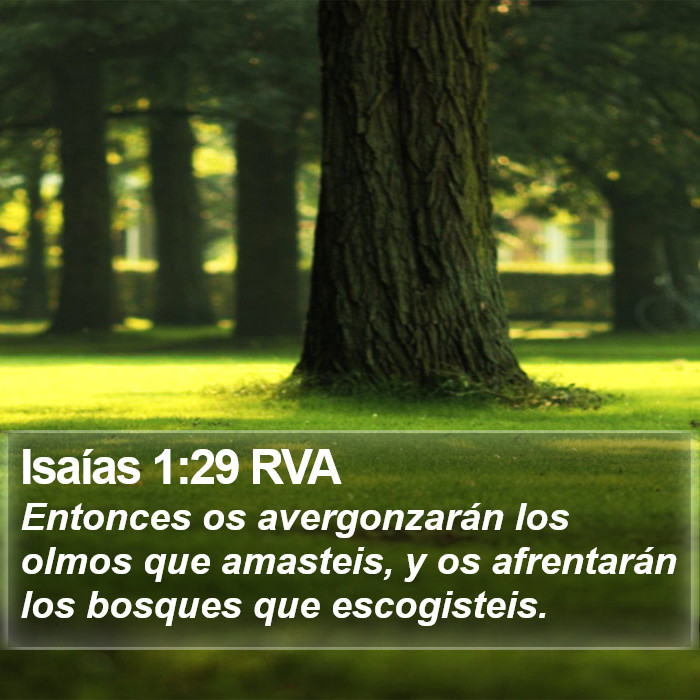 Isaías 1:29 RVA Bible Study