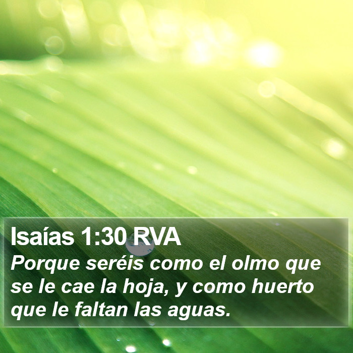 Isaías 1:30 RVA Bible Study