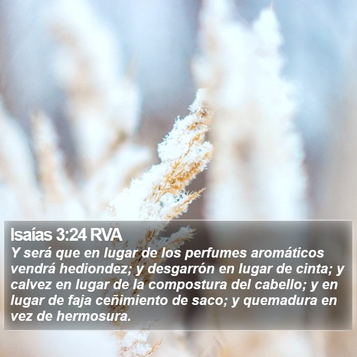 Isaías 3:24 RVA Bible Study