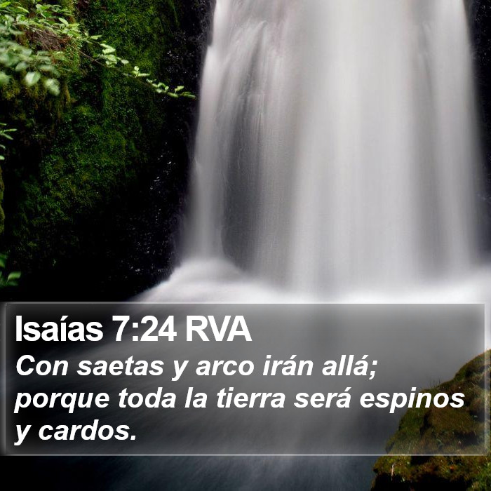 Isaías 7:24 RVA Bible Study