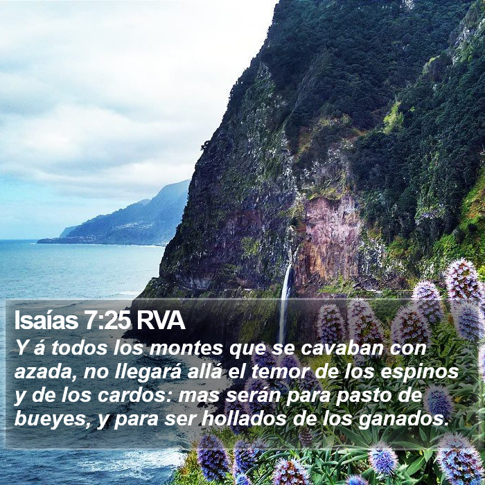 Isaías 7:25 RVA Bible Study