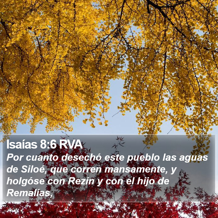 Isaías 8:6 RVA Bible Study