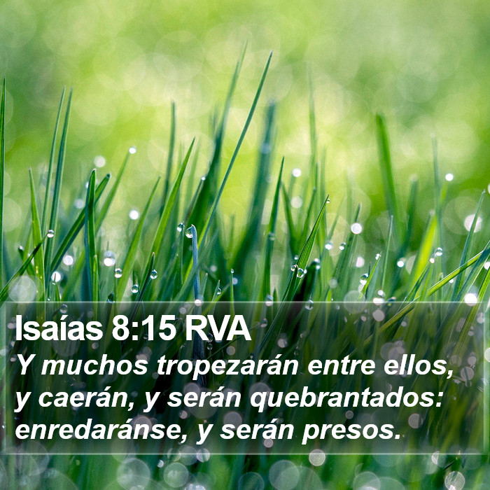 Isaías 8:15 RVA Bible Study