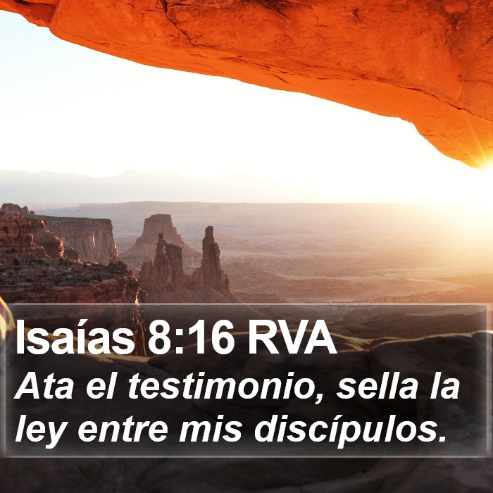 Isaías 8:16 RVA Bible Study