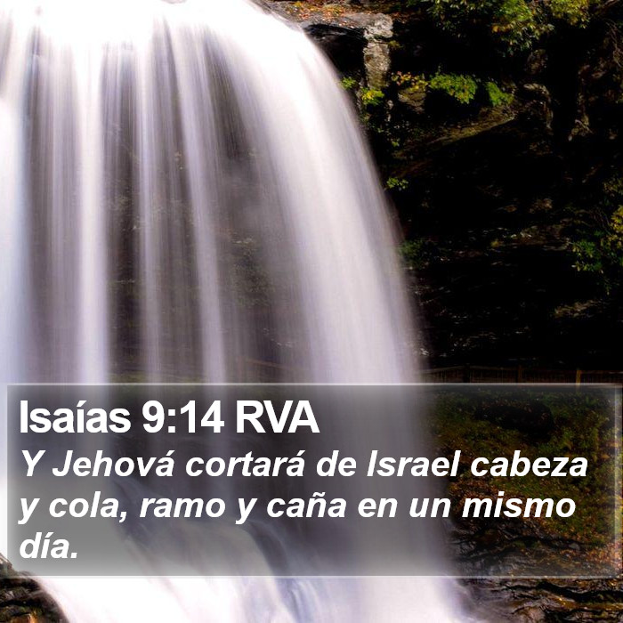 Isaías 9:14 RVA Bible Study