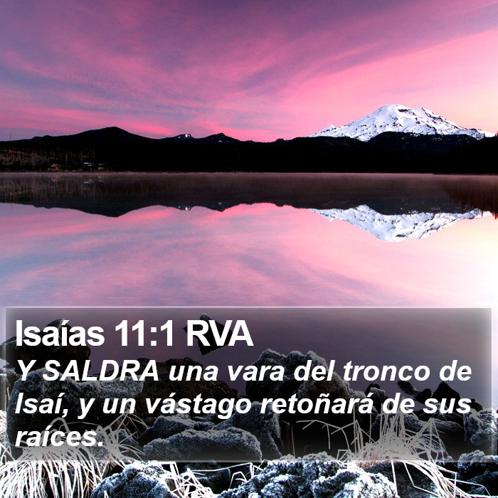 Isaías 11:1 RVA Bible Study