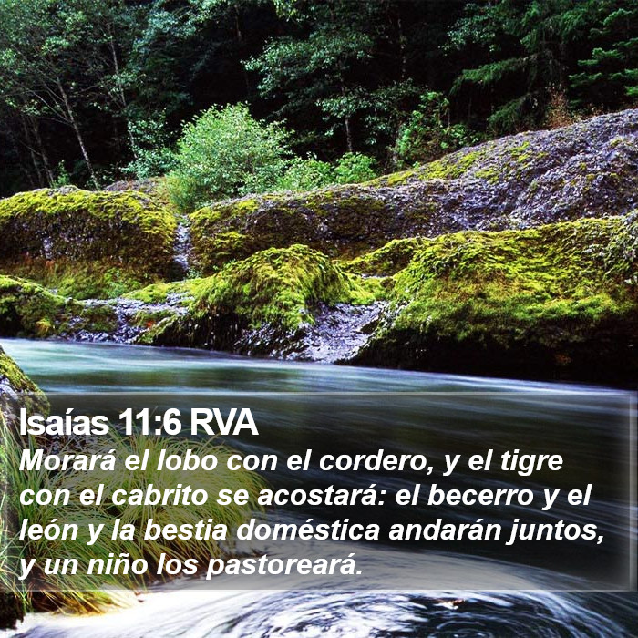 Isaías 11:6 RVA Bible Study