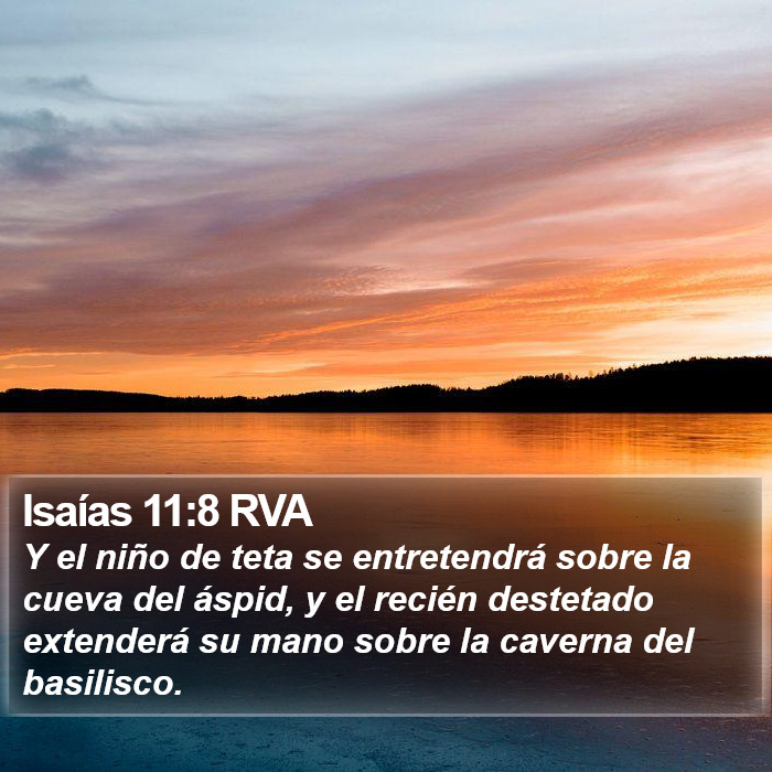 Isaías 11:8 RVA Bible Study