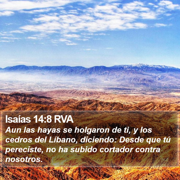 Isaías 14:8 RVA Bible Study