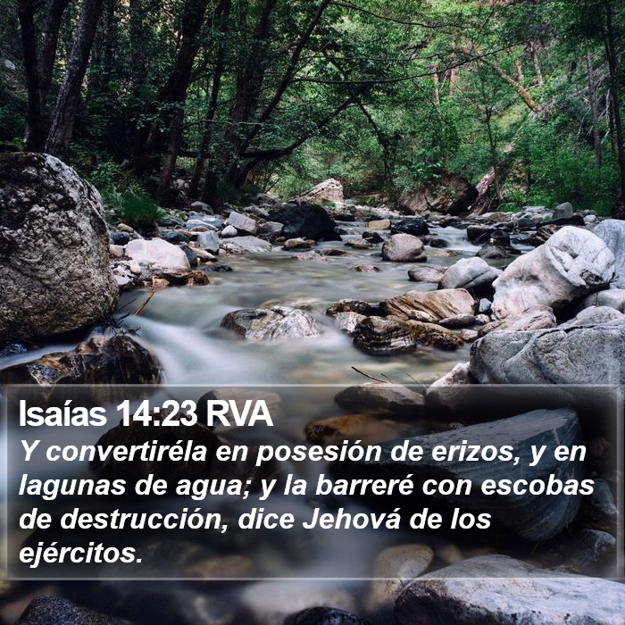 Isaías 14:23 RVA Bible Study