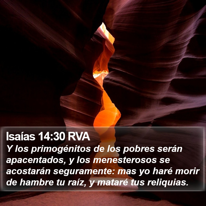 Isaías 14:30 RVA Bible Study