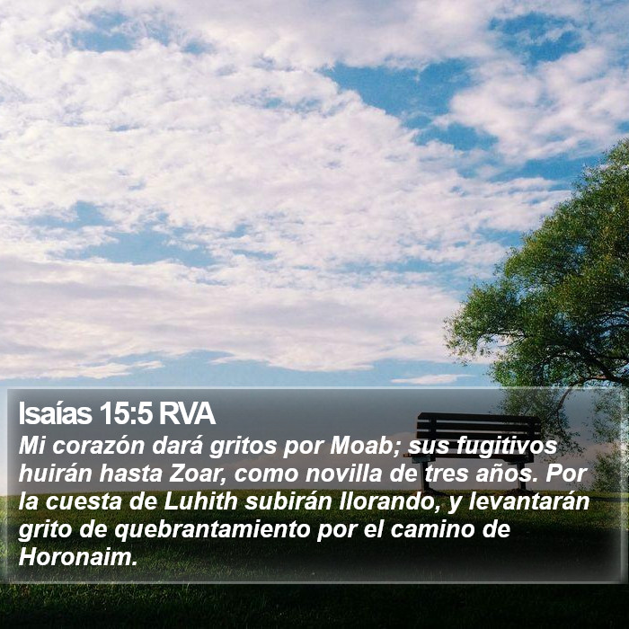 Isaías 15:5 RVA Bible Study