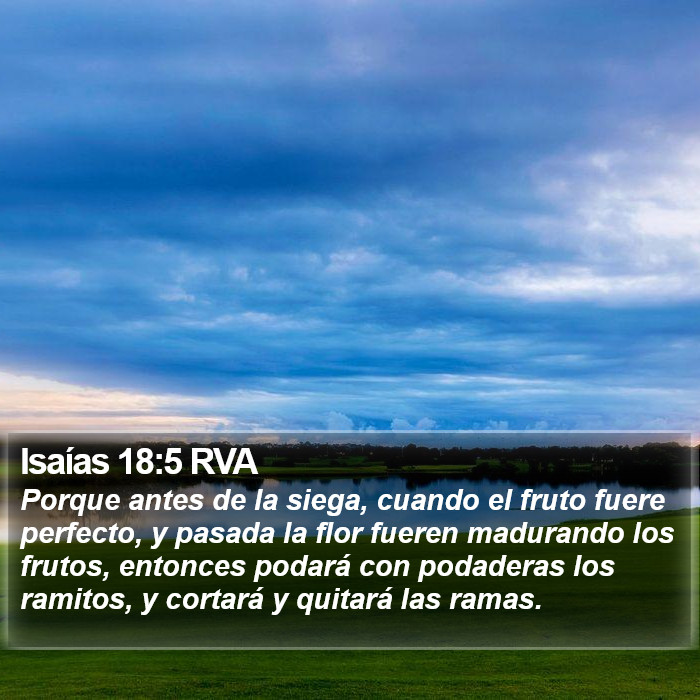 Isaías 18:5 RVA Bible Study