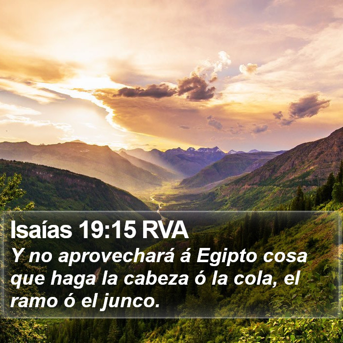 Isaías 19:15 RVA Bible Study