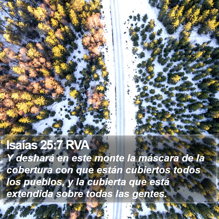 Isaías 25:7 RVA Bible Study