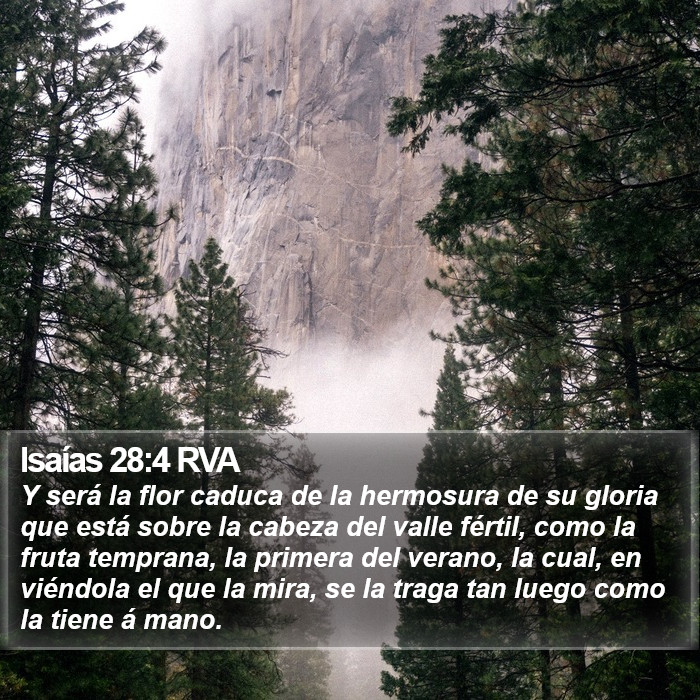 Isaías 28:4 RVA Bible Study