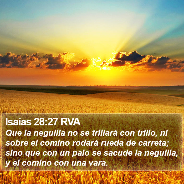 Isaías 28:27 RVA Bible Study