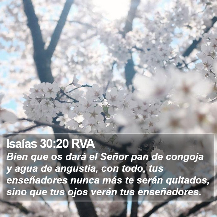 Isaías 30:20 RVA Bible Study