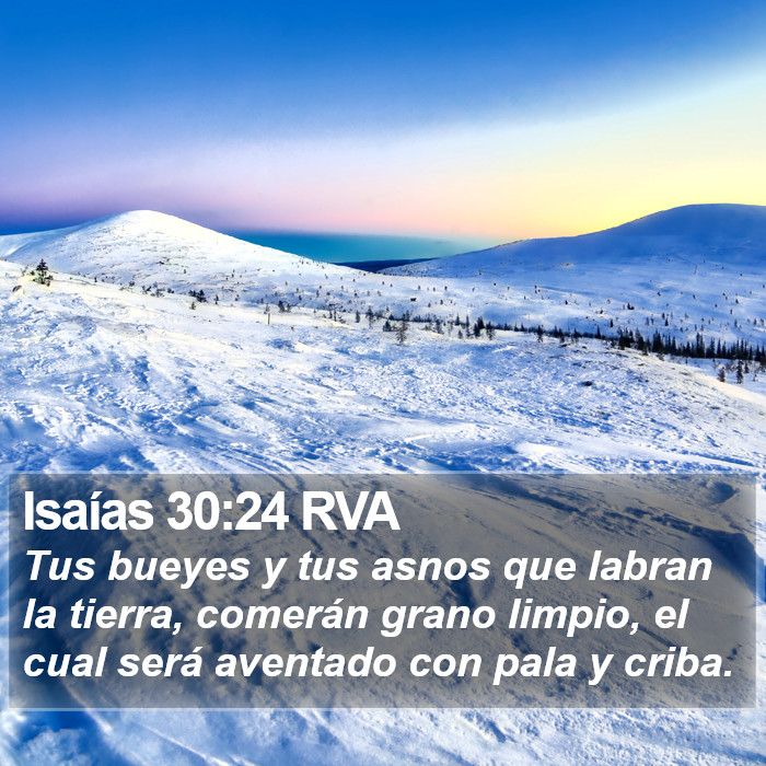 Isaías 30:24 RVA Bible Study