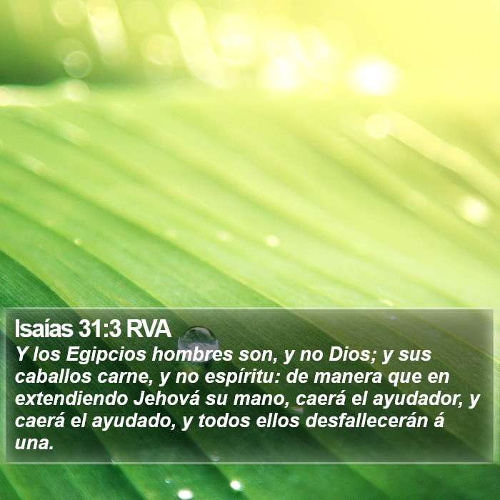 Isaías 31:3 RVA Bible Study