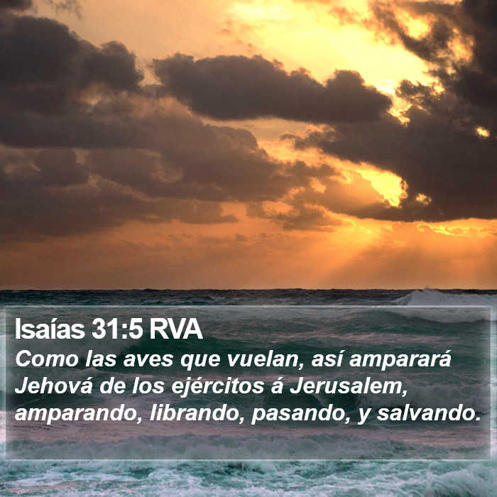 Isaías 31:5 RVA Bible Study