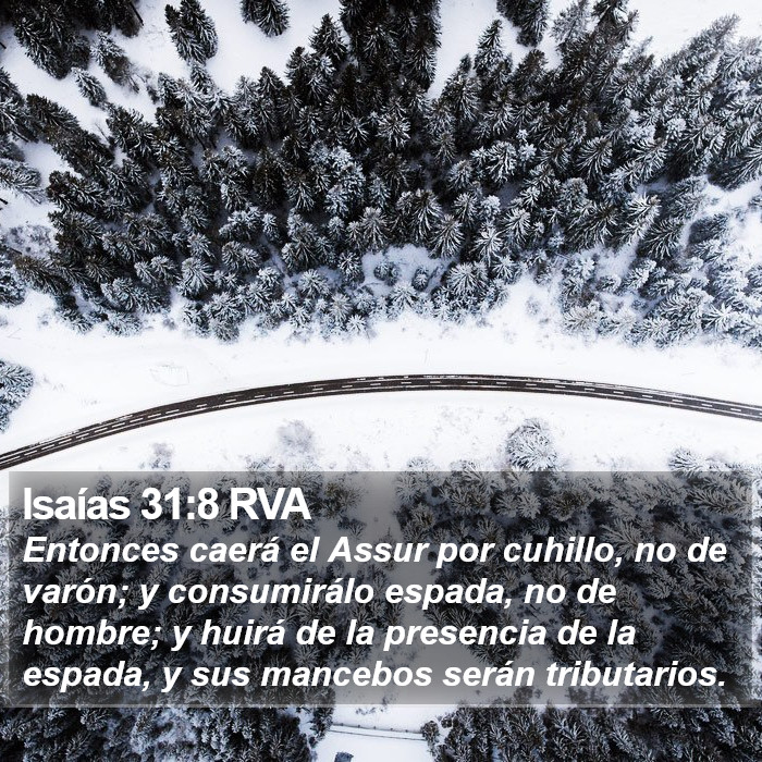 Isaías 31:8 RVA Bible Study